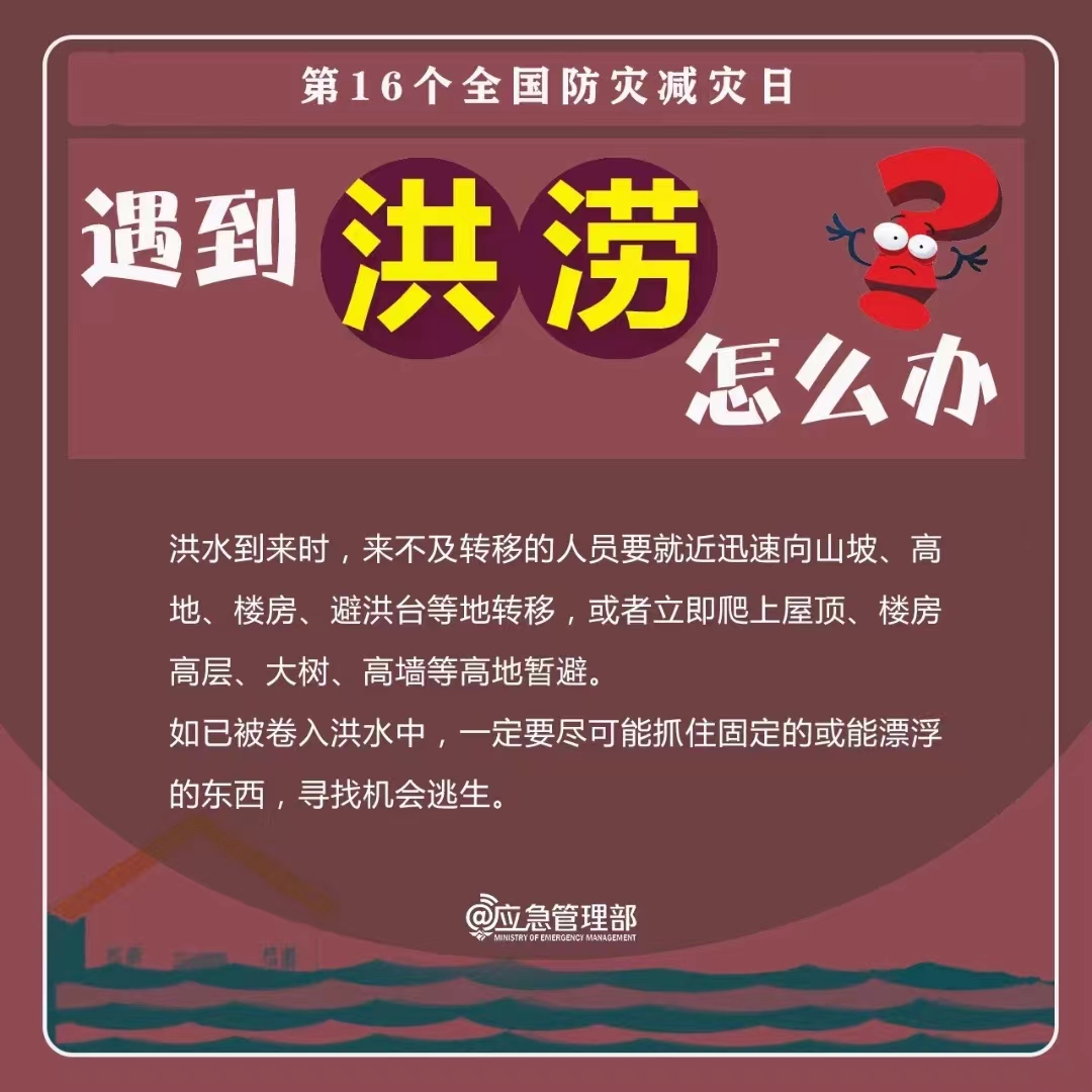 球盟会官网入口