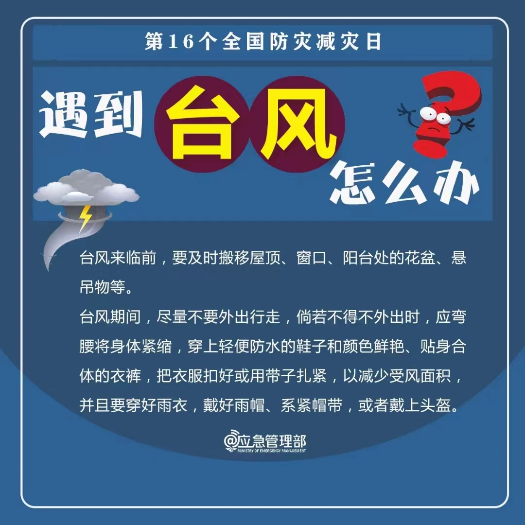 球盟会官网入口