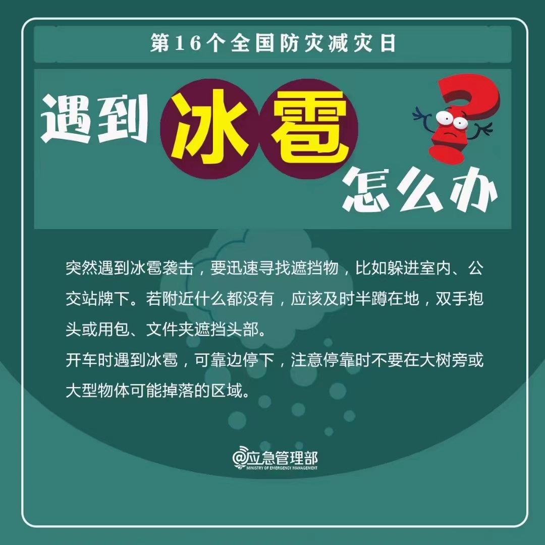 球盟会官网入口