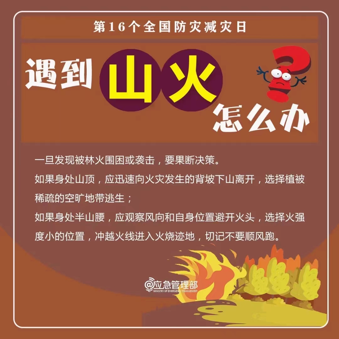 球盟会官网入口